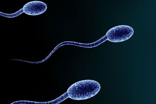 试管婴儿的胚胎停育与哪些因素有关？